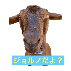 Smile_20200825193935