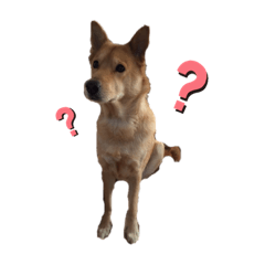 ayumi_20200825194722