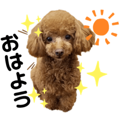 yuaya_20200825215949