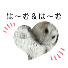 takashi_20200825205119