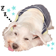 melon_20200825212408