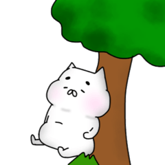 marshmallow wite cat