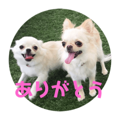 poporuru2