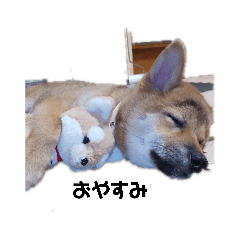 saori_20200826070842