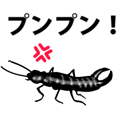 Earwig