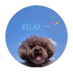 哆の日常生活。