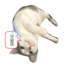 宥君