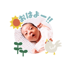 panda_20200826110450