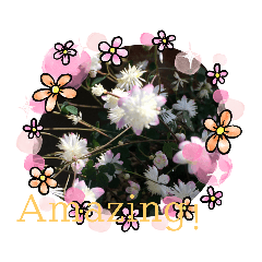 AONO_20200826141714