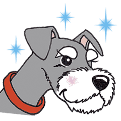 シュナウザー犬ロッキー Line スタンプ Line Store シュナウザー犬ロッキー Line スタンプ Line Store