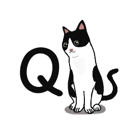 QQ一隻貓