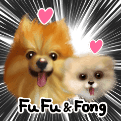 Fu Fu & Fong (Pomeranian Mother & Son)