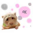 ドラえもんのline スタンプ一覧 Line Store