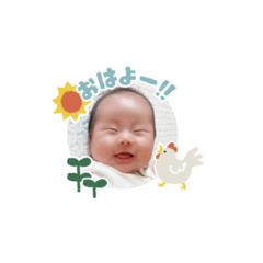 Ringo_20200826171856