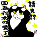 賓士貓Ohagi - 療癒篇