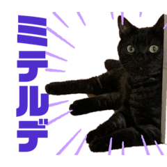 Kerokappa