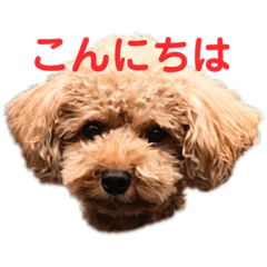 riho_20200826190214