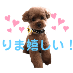 ryuki_20200826193449