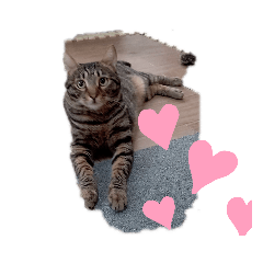 tonton_20200826204413