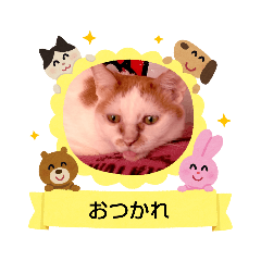 tonton_20200826204200