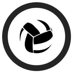 Volleyball player