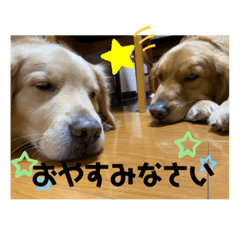 RINA_20200826215941