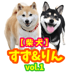 柴犬スタンプ3 白柴 Lineクリエイターズスタンプ Stamplist