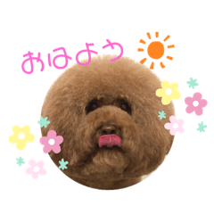 ranrenchan