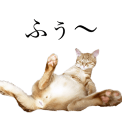 nozomi_20200826181041