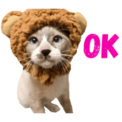 haruna_20200826192341