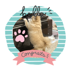 ayumi_20200826204106