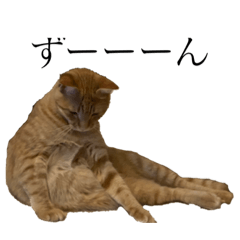 nozomi_20200826205307