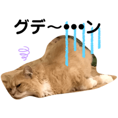 miyuu_20200826212639