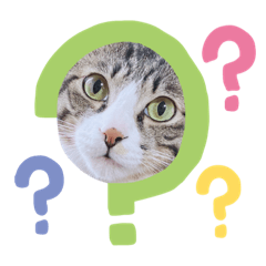 miyuu_20200826212321