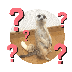SANAE_20200827061003