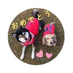 nozomi_20200827003614