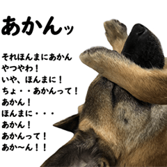 HUKUMARU speaks Kansai dialect fluently.
