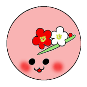 Japanese sweets wagashi