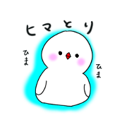 Hina bird of Java sparrow Pachi bird