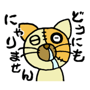 Junk cat