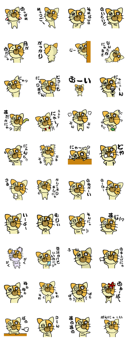 Junk cat