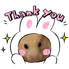 最可愛的米米家族^_^