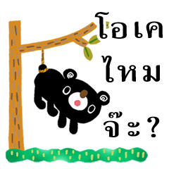 BURAKUMA-Daily conversation3(thai)