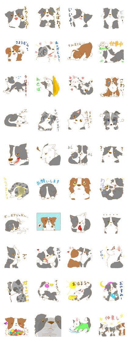 Border Collie Family (Japanese)