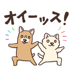 死語だらけ！なかよしチワワのチュロとひめ