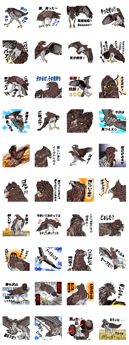 Martial eagle