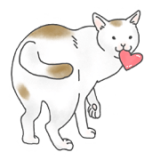 Lovely Cats![JPN]