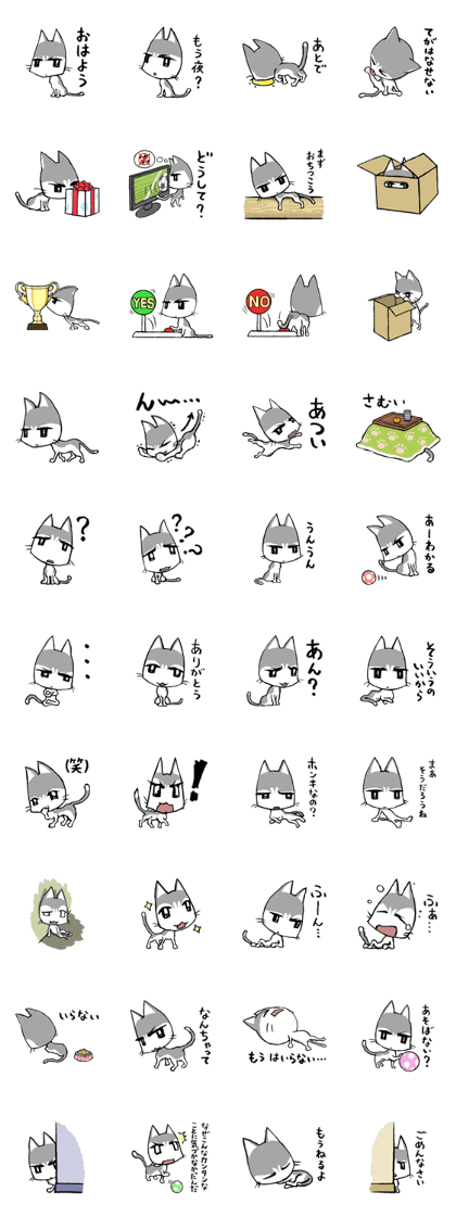 Light soy cat