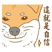 Emma Story - Shiba bebe