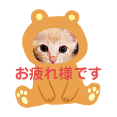 kinako0722/